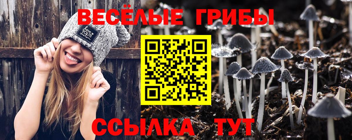 Псилоцибиновые грибы Psilocybine cubensis Ноябрьск