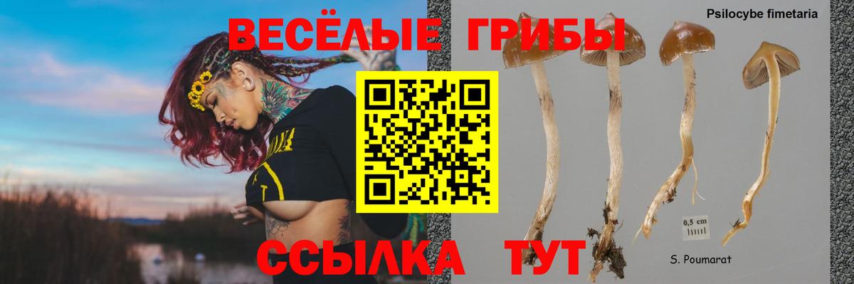 Галлюциногенные грибы MAGIC MUSHROOMS  Вход с VPN  Ноябрьск  Галлюциногенные грибы Psilocybe 